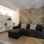 Old Side Two Apartment Girona